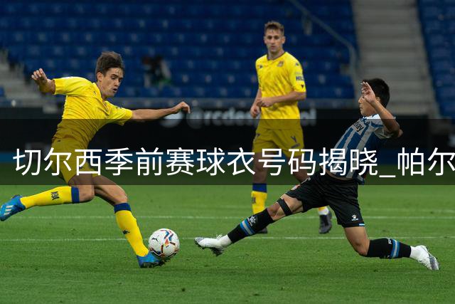 切尔西季前赛球衣号码揭晓 帕尔默身披10号战袍出征亚洲