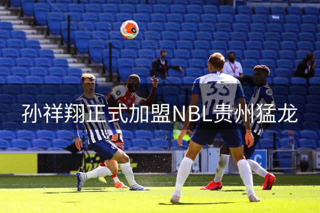 孙祥翔正式加盟NBL贵州猛龙